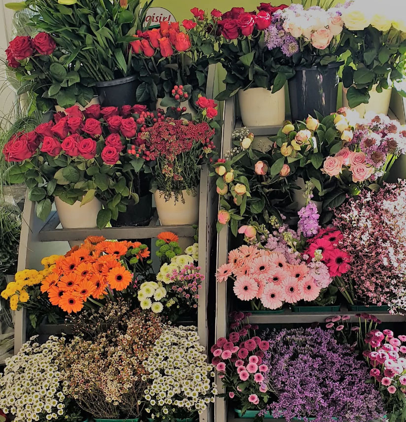 Fleuriste Lille, Marcq-en-Barœul Lys-lez-Lannoy