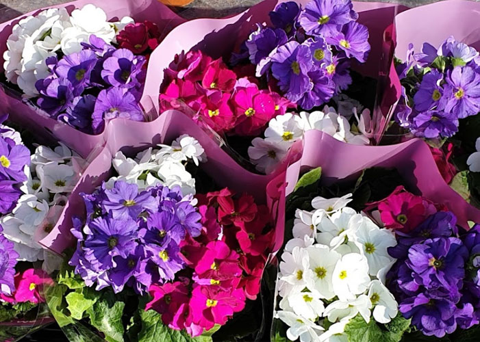 Fleuriste Lille Bondues Hem Mons-en-Barœul